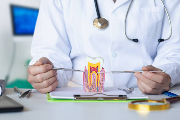 Best Emergency Treatment for Dental Infections or Abscesses in The Galena Territory, IL